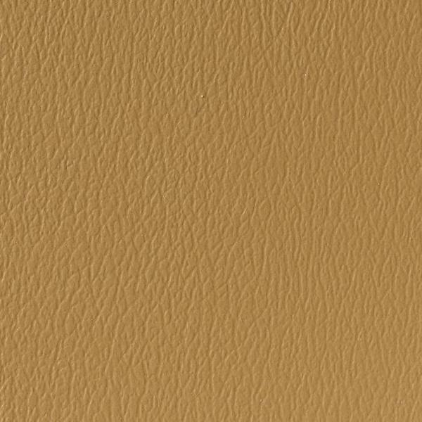 US-387-Camel